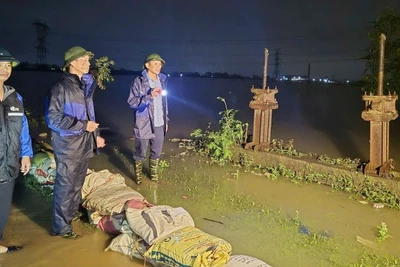 Nước sông Cầu dâng cao tại địa bàn xã Hợp Thịnh.