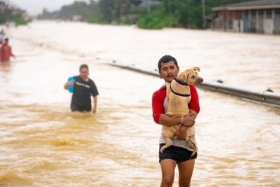 Cảnh ngập lụt tại Hat Yai, tỉnh Songkhla, Thái Lan, ngày 25/11/2025. (Ảnh: THX/TTXVN)