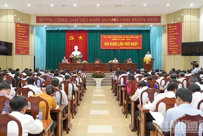 Các đại biểu tham dự hội nghị.