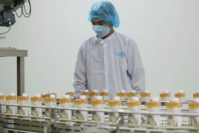 Chế biến sản phẩm từ nông sản tại Công ty cổ phần công nghiệp thực phẩm Thabico Tiền Giang.