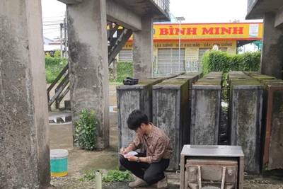Anh Lê Nhật Minh, nghiên cứu viên của Viện Kỹ thuật Biển lấy mẫu nước kiểm tra tại hệ thống công trình thủy lợi Quản Lộ-Phụng Hiệp.