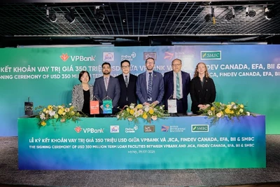 Vương quốc Anh cho vay 50 triệu USD hỗ trợ chuyển đổi năng lượng xanh tại Việt Nam