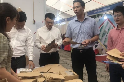 Các sản phẩm bao bì thân thiện môi trường ngày càng được lựa chọn sử dụng nhiều hơn.