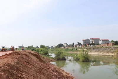 Gia cố đê bối Trầm Hà, thôn Thượng, xã Mỹ Thái. 