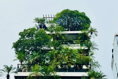 "Xanh hóa" công trình là xu hướng chủ đạo hiện nay. (Ảnh: HNV)