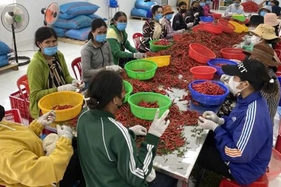 Đối tượng điều tra gồm: Lao động tham gia hoạt động nông, lâm, thuỷ sản; Hộ dân cư tham gia hoạt động nông, lâm, thuỷ sản; Trang trại, doanh nghiệp, hợp tác xã tham gia hoạt động nông, lâm, thuỷ sản; Ủy ban nhân dân xã. (Ảnh: HNV)