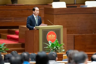 Ủy viên Ủy ban Thường vụ Quốc hội Hoàng Thanh Tùng trình bày Báo cáo thẩm tra dự án Luật trong phiên toàn thể tại Kỳ họp thứ 10 Quốc hội khóa XV. (Nguồn QUOCHOI.VN)