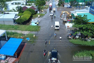 Tuyến Quốc lộ 1A, đoạn gần cầu Lương Thế Trân, tỉnh Cà Mau bị ngập sâu vào đợt mưa lớn kết hợp triều cường vào cuối tháng 10/2025.