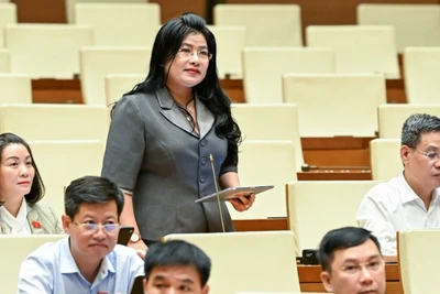 Nâng cao chất lượng, hiệu quả công tác phân luồng trong giáo dục