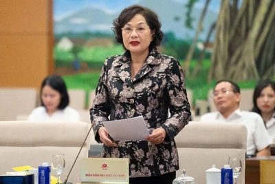 Đề xuất mở rộng thêm các hình thức đầu tư của tổ chức bảo hiểm tiền gửi