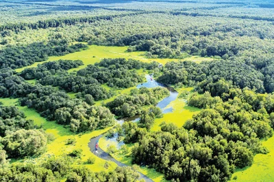 Mênh mang rừng tràm Trà Sư.