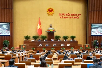 Trong tuần làm việc thứ tư (từ ngày 10-15/11), Quốc hội thảo luận và thông qua nhiều dự án luật quan trọng, đồng thời tiến hành biểu quyết thông qua Nghị quyết về Kế hoạch phát triển kinh tế-xã hội năm 2026. (Nguồn QUOCHOI.VN)