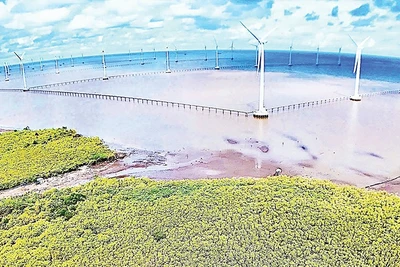 Cánh đồng điện gió tại vùng ven biển phường Hiệp Thành, tỉnh Cà Mau. 