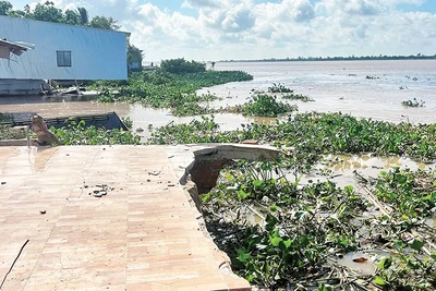 Hiện trường vụ sạt lở tại khóm Tân Tịch, phường Cao Lãnh. 