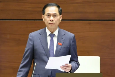 Phó Thủ tướng: Cắt giảm tối đa thủ tục hành chính trong lĩnh vực thương mại điện tử