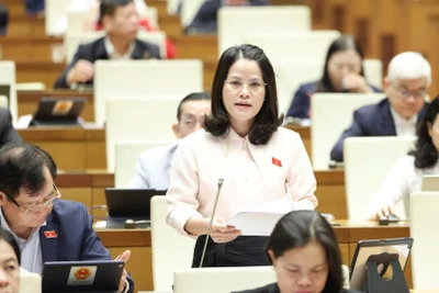 Ưu đãi và hỗ trợ đầu tư phải gắn với cam kết và hiệu quả thực hiện