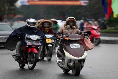 Ảnh minh họa. (Ảnh : TTXVN)