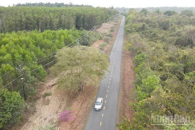 Thủ tướng Chính phủ chấp thuận điều chỉnh Quy hoạch tỉnh Đồng Nai để xây dựng cầu Mã Đà và đường giao thông kết nối.