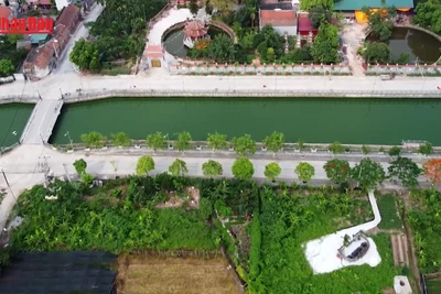 [Video] Nhiều chính sách mới tác động thị trường bất động sản từ đầu năm