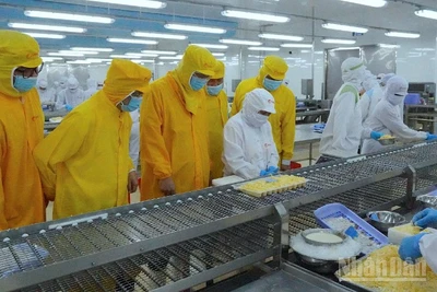 Lãnh đạo tỉnh Cà Mau mặc bảo hộ lao động (màu vàng) tham quan dây chuyền sản xuất, chế biến tại nhà xưởng của Tập đoàn Camimex vào sáng 26/2.