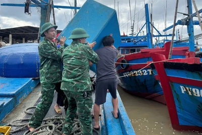 Cán bộ, chiến sĩ Đồn Biên phòng Xuân Hòa, Ban Chỉ huy Bộ đội Biên phòng tỉnh Đắk Lắk hỗ trợ ngư dân đưa phương tiện đánh bắt cá lên bờ, bảo đảm an toàn trước khi bão số 13 đổ bộ.