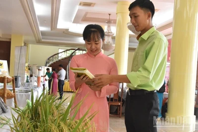 Tìm hiểu giống lúa mới đạt chất lượng tại hội nghị.