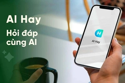 Theo khảo sát của Decision Lab, ứng dụng AI Hay của Việt Nam đứng thứ 6/11 nền tảng AI phổ biến với người dùng Việt, xếp ở vị trí thứ 2 về mức độ hài lòng khi sử dụng, chỉ sau ChatGPT.