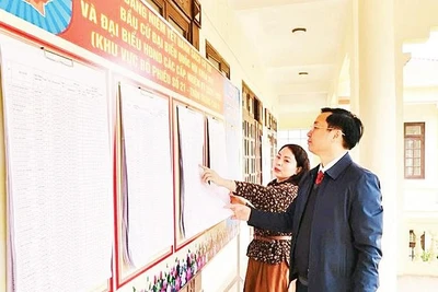 Kiểm tra việc niêm yết danh sách cử tri tại các khu vực bỏ phiếu trên địa bàn xã Phú Nghĩa.