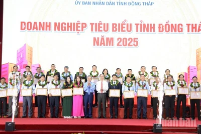 Tuyên dương, khen thưởng các doanh nghiệp tiêu biểu của tỉnh Đồng Tháp.
