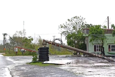 Hệ thống lưới điện ở xã Phú Trạch gãy đổ nghiêm trọng sau bão số 10.