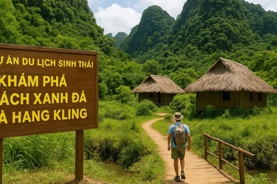 Với sản phẩm du lịch sinh thái “Khám phá Bách xanh đá và hang Kling”, lần đầu tiên, du khách được tham quan quần thể Bách xanh đá hàng trăm năm tuổi ở Vườn quốc gia Phong Nha-Kẻ Bàng.