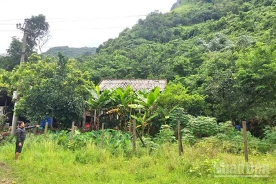 Một số hộ dân sống ngay dưới chân núi Cây Sú ở xã Trường Sơn luôn thấp thỏm sợ đá rơi xuống.