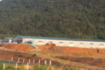 Trang trại nuôi lợn của Công ty Bình Chi Nam Hưng hoạt động khi chưa được cấp giấy phép môi trường.