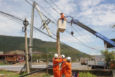 Tập trung khôi phục lưới điện cho xã Phú Trạch và Khu kinh tế Hòn La.