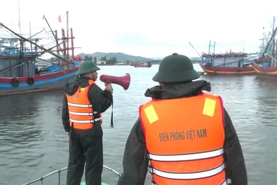 Bộ đội Biên phòng Quảng Trị kêu gọi tàu thuyền vào neo đậu an toàn trong các khu tránh trú bão.