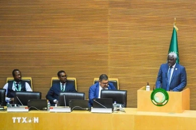 Cuộc họp của các quan chức AU ở Addis Abeba. (Ảnh: THX/TTXVN)