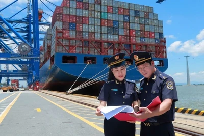 Ảnh minh họa. (Ảnh: CHQ)