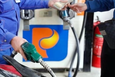 Ảnh minh họa. (Ảnh: TTXVN)