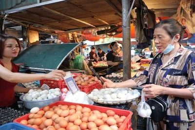 Nhiều hộ kinh doanh nhỏ lẻ gặp nhiều vướng mắc khi ngành thuế triển khai áp dụng hóa đơn điện tử đối với hộ kinh doanh có doanh thu từ 1 tỉ đồng/năm. (Ảnh: MINH PHƯƠNG)