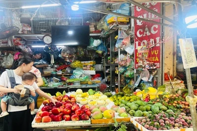 Cả nước hiện có gần 2 triệu hộ đóng thuế khoán, bình quân nộp 700.000 đồng mỗi tháng. (Ảnh: MINH PHƯƠNG)