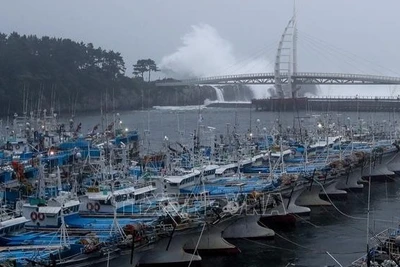 Tàu thuyền neo đậu tại đảo Jeju, Hàn Quốc. (Ảnh: THX/TTXVN)