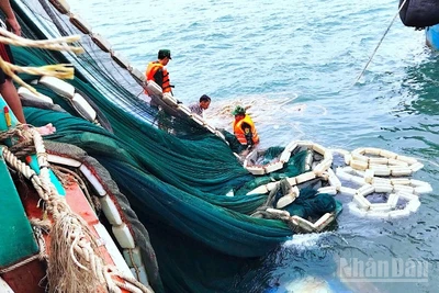 Cán bộ, chiến sĩ Đồn Biên phòng Hòn Chuối hỗ trợ trục vớt lưới đánh cá đưa lên tàu cứu nạn.