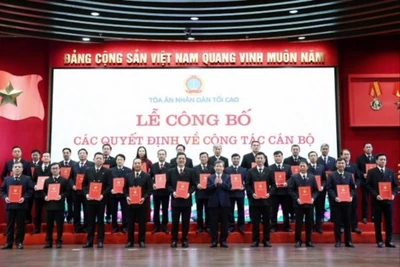 Chánh án Tòa án nhân dân tối cao trao quyết định bổ nhiệm cho các Chánh án.