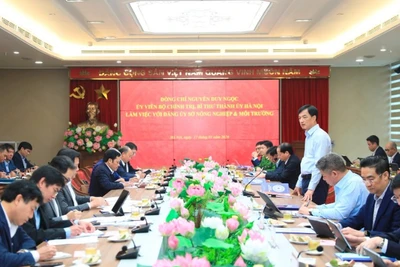 Đồng chí Nguyễn Duy Ngọc phát biểu chỉ đạo tại buổi làm việc.