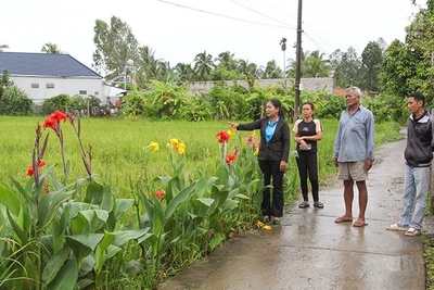 Đường giao thông nông thôn ở Vĩnh Long ngày càng khởi sắc. 