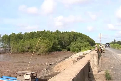 Mô đoạn đê kè biển xã Vĩnh Hải, Cần Thơ.