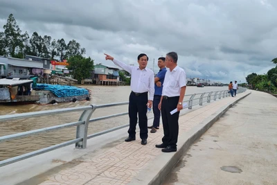 Kè sông Cái Sắn mới khánh thành phát huy hiệu quả trong phòng, chống sạt lở.