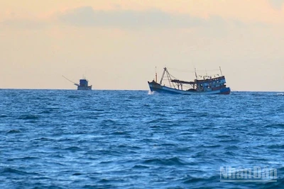Tàu cá hoạt động trên vùng biển Cà Mau một khi không tuân thủ chống khai thác IUU sẽ bị xử lý nghiêm minh.
