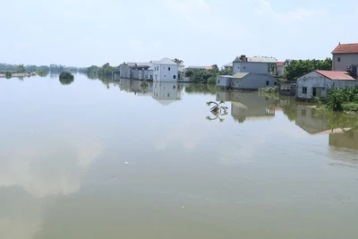 Mực nước sông Bùi vẫn ở mức cao. 