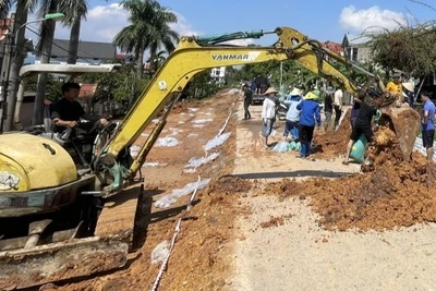 Các lực lượng tham gia hộ đê hữu Cầu. 